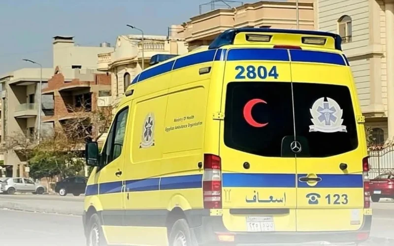 تفاصيل مروعة مقتل سيدة على يد ابنتها بعد ضبطها مع خطيبها